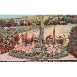 Rare collectable postcards of USA. Vintage Postcards of USA