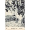 Rare collectable postcards of BRAZIL. Vintage Postcards of BRAZIL