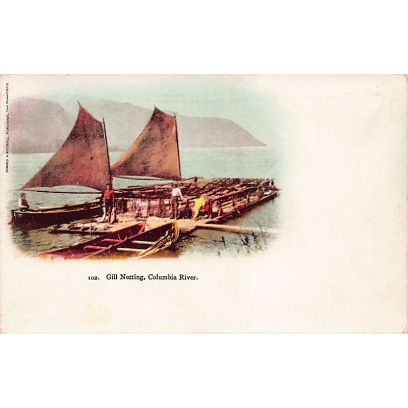 Rare collectable postcards of USA. Vintage Postcards of USA