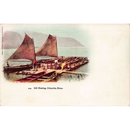 Rare collectable postcards of USA. Vintage Postcards of USA