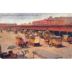 Rare collectable postcards of USA. Vintage Postcards of USA