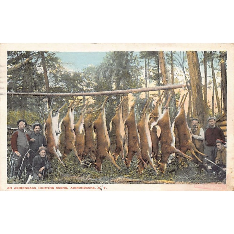 Rare collectable postcards of USA. Vintage Postcards of USA