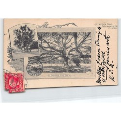 Rare collectable postcards of USA. Vintage Postcards of USA