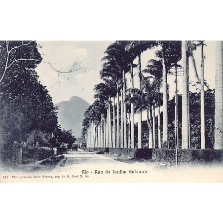 Rare collectable postcards of BRAZIL. Vintage Postcards of BRAZIL