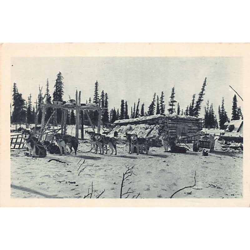 Rare collectable postcards of USA. Vintage Postcards of USA