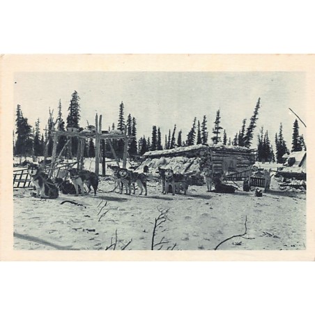 Rare collectable postcards of USA. Vintage Postcards of USA