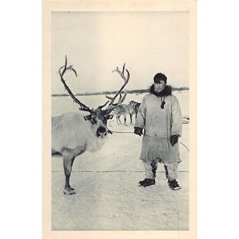 Rare collectable postcards of USA. Vintage Postcards of USA