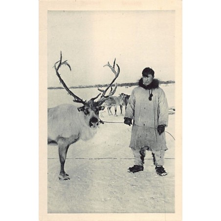 Rare collectable postcards of USA. Vintage Postcards of USA