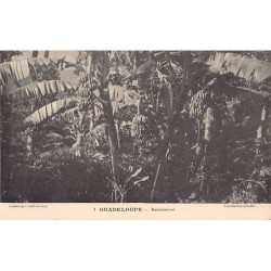 Rare collectable postcards of GUADELOUPE. Vintage Postcards of GUADELOUPE