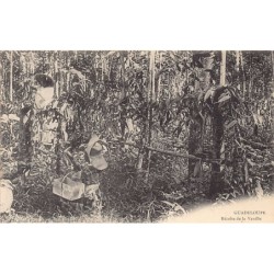 Rare collectable postcards of GUADELOUPE. Vintage Postcards of GUADELOUPE