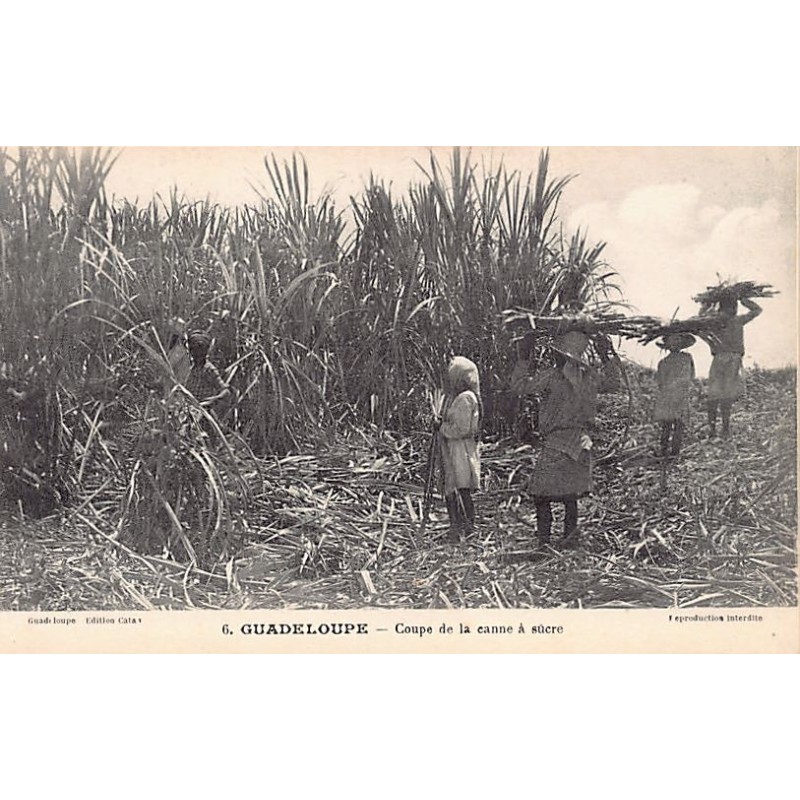 Rare collectable postcards of GUADELOUPE. Vintage Postcards of GUADELOUPE