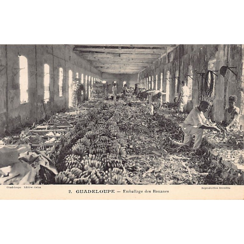 Rare collectable postcards of GUADELOUPE. Vintage Postcards of GUADELOUPE