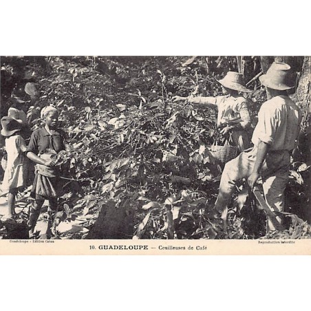 Rare collectable postcards of GUADELOUPE. Vintage Postcards of GUADELOUPE