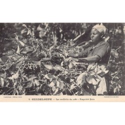 Rare collectable postcards of GUADELOUPE. Vintage Postcards of GUADELOUPE