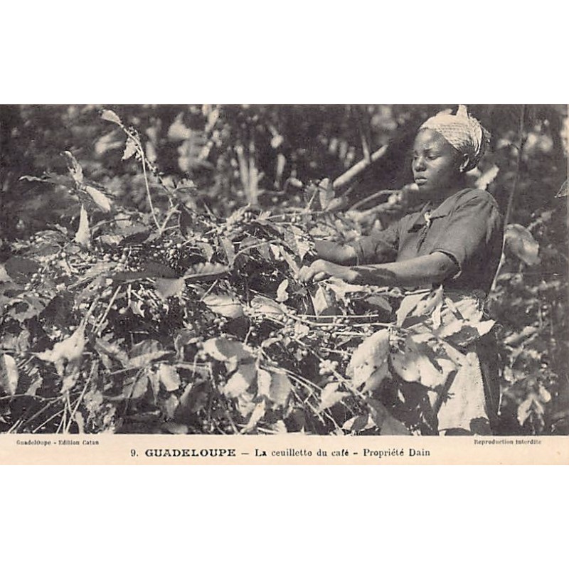 Rare collectable postcards of GUADELOUPE. Vintage Postcards of GUADELOUPE