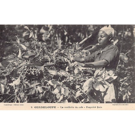 Rare collectable postcards of GUADELOUPE. Vintage Postcards of GUADELOUPE