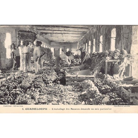 Rare collectable postcards of GUADELOUPE. Vintage Postcards of GUADELOUPE