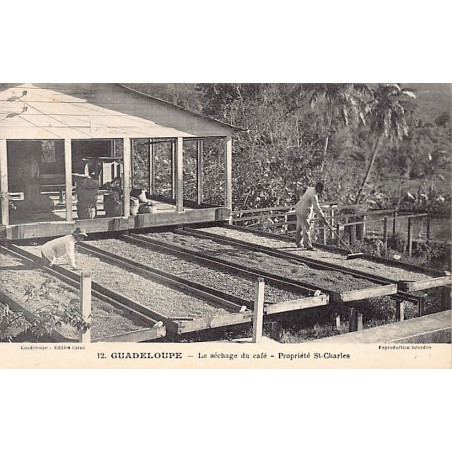 Rare collectable postcards of GUADELOUPE. Vintage Postcards of GUADELOUPE