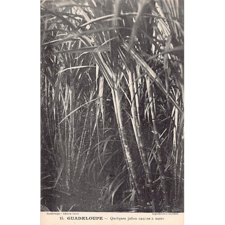 Rare collectable postcards of GUADELOUPE. Vintage Postcards of GUADELOUPE