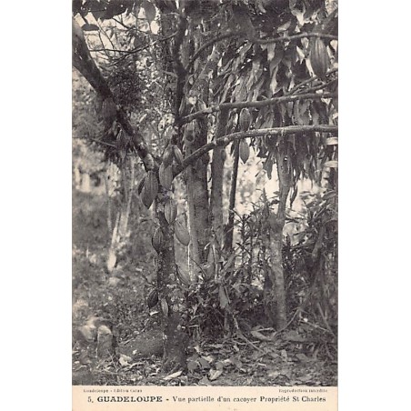 Rare collectable postcards of GUADELOUPE. Vintage Postcards of GUADELOUPE