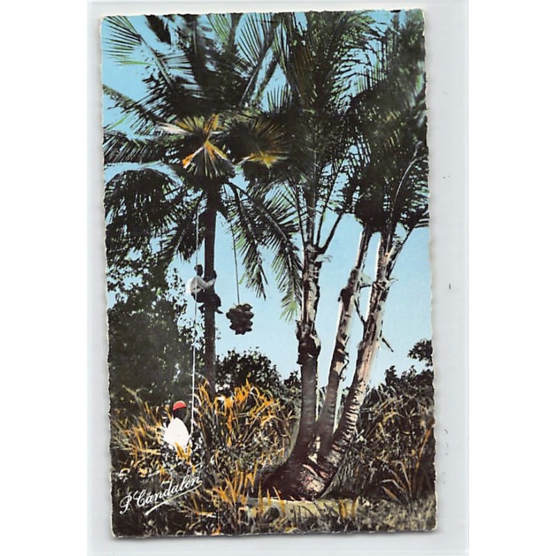 Rare collectable postcards of GUADELOUPE. Vintage Postcards of GUADELOUPE