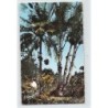 Rare collectable postcards of GUADELOUPE. Vintage Postcards of GUADELOUPE