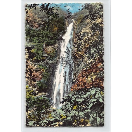 Rare collectable postcards of GUADELOUPE. Vintage Postcards of GUADELOUPE