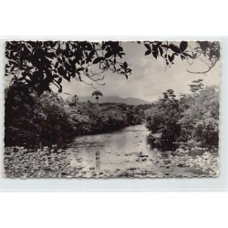 Rare collectable postcards of GUADELOUPE. Vintage Postcards of GUADELOUPE