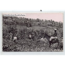 Rare collectable postcards of MARTINIQUE. Vintage Postcards of MARTINIQUE