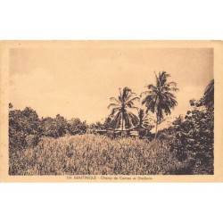 Rare collectable postcards of MARTINIQUE. Vintage Postcards of MARTINIQUE