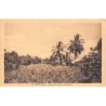 Rare collectable postcards of MARTINIQUE. Vintage Postcards of MARTINIQUE