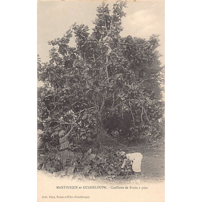 Rare collectable postcards of MARTINIQUE. Vintage Postcards of MARTINIQUE