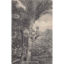 Rare collectable postcards of INDIA. Vintage Postcards of INDIA