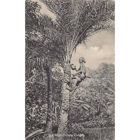 Rare collectable postcards of INDIA. Vintage Postcards of INDIA