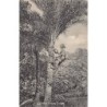 Rare collectable postcards of INDIA. Vintage Postcards of INDIA