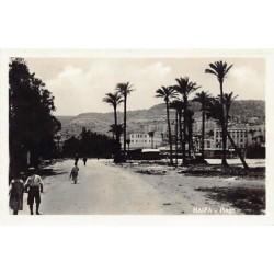 Rare collectable postcards of ISRAEL & PALESTINE. Vintage Postcards of ISRAEL & PALESTINE