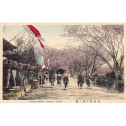 Rare collectable postcards of JAPAN. Vintage Postcards of JAPAN