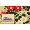 Rare collectable postcards of JAPAN. Vintage Postcards of JAPAN
