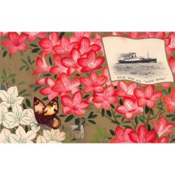 Rare collectable postcards of JAPAN. Vintage Postcards of JAPAN