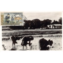 Rare collectable postcards of LAOS. Vintage Postcards of LAOS