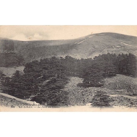 Rare collectable postcards of LEBANON. Vintage Postcards of LEBANON