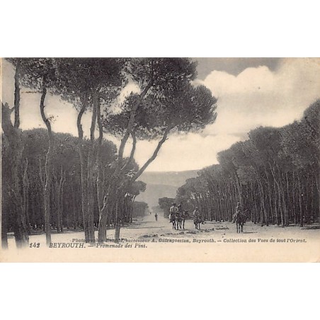 Rare collectable postcards of LEBANON. Vintage Postcards of LEBANON