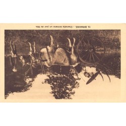 Rare collectable postcards of MYANMAR Burma. Vintage Postcards of MYANMAR Burma