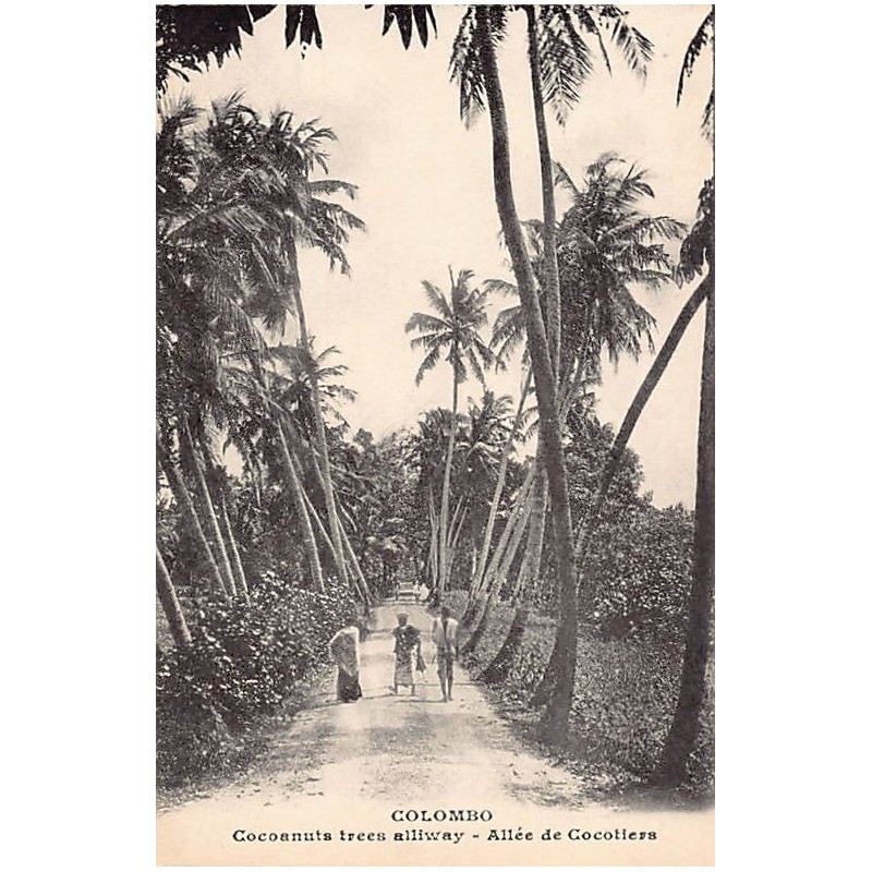 Rare collectable postcards of SRI LANKA. Vintage Postcards of SRI LANKA