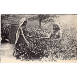 Rare collectable postcards of SRI LANKA. Vintage Postcards of SRI LANKA