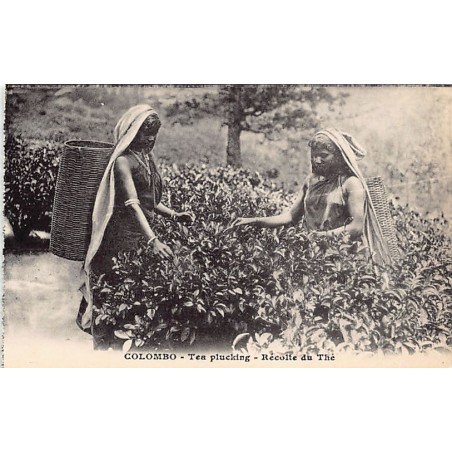 Rare collectable postcards of SRI LANKA. Vintage Postcards of SRI LANKA