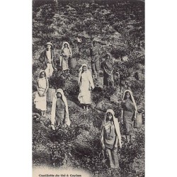 Rare collectable postcards of SRI LANKA. Vintage Postcards of SRI LANKA