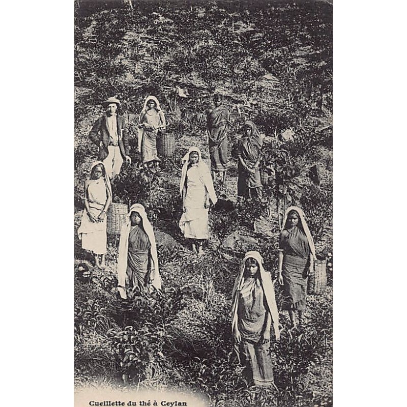 Rare collectable postcards of SRI LANKA. Vintage Postcards of SRI LANKA