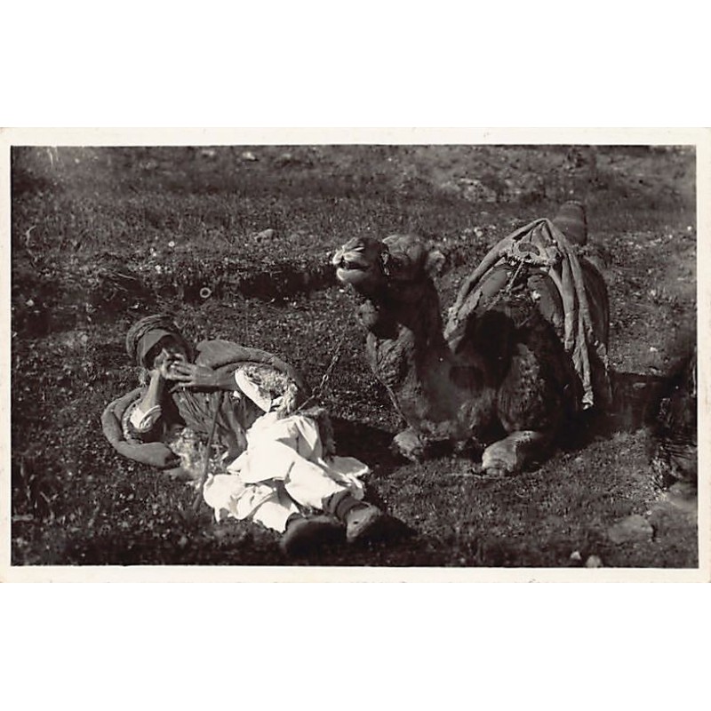 Rare collectable postcards of SYRIA. Vintage Postcards of SYRIA