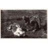 Rare collectable postcards of SYRIA. Vintage Postcards of SYRIA